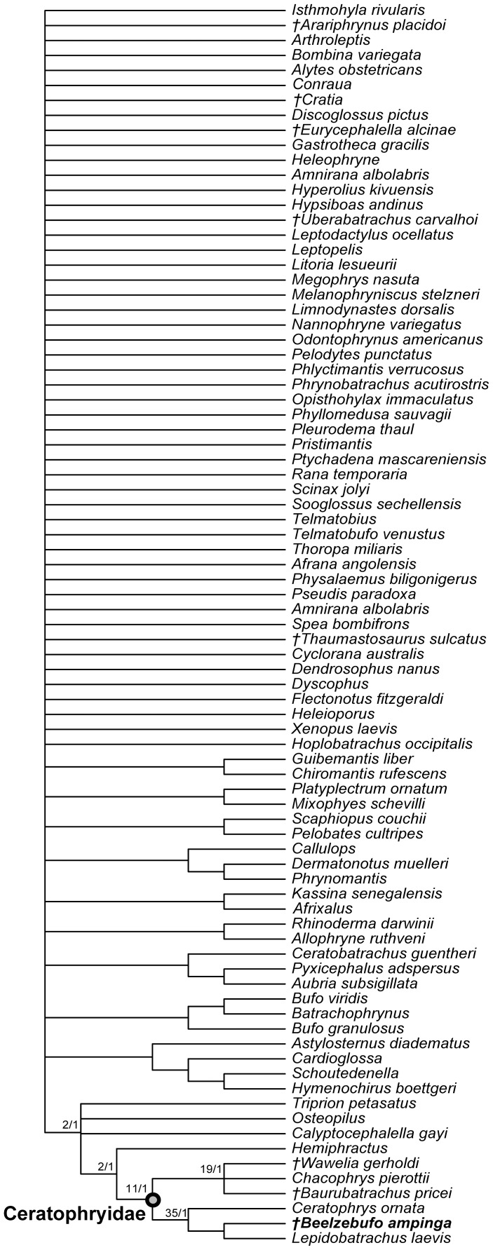 Figure 43