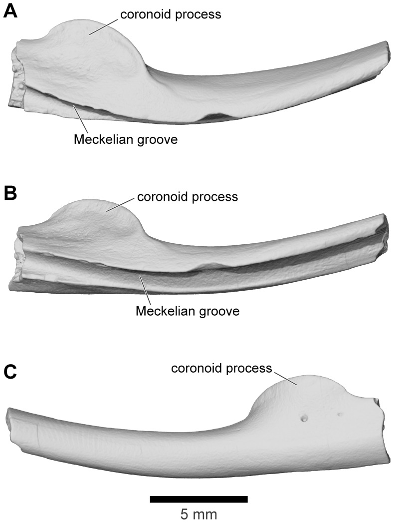 Figure 30