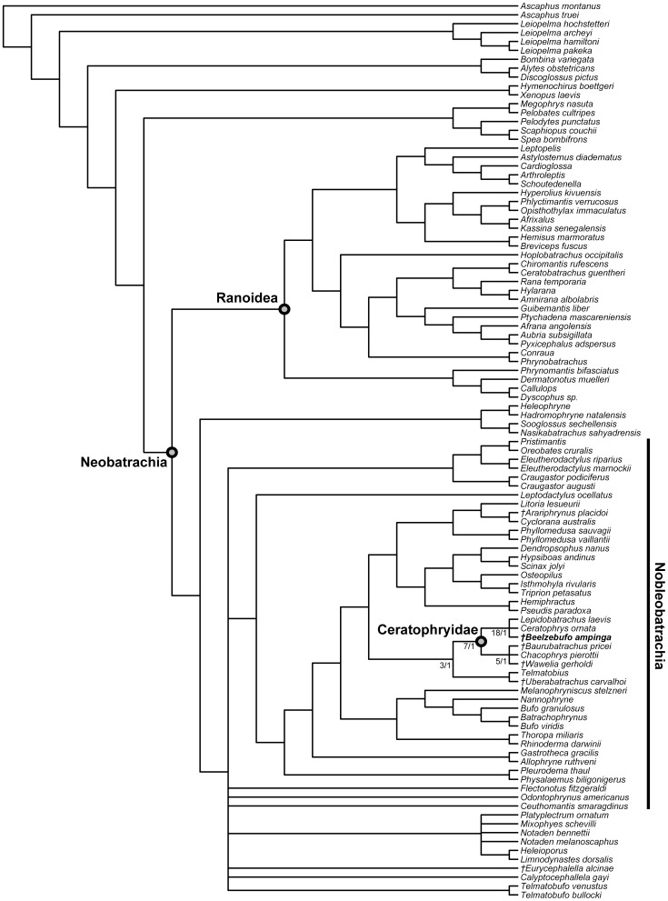 Figure 45