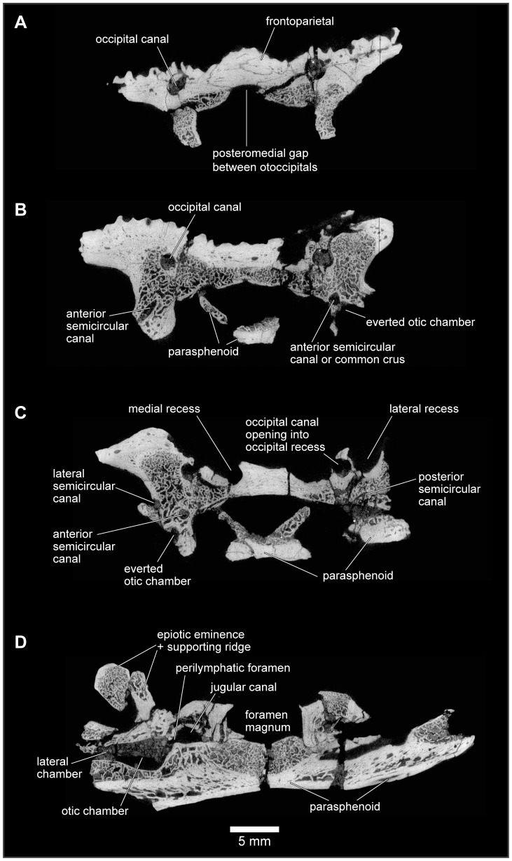 Figure 24