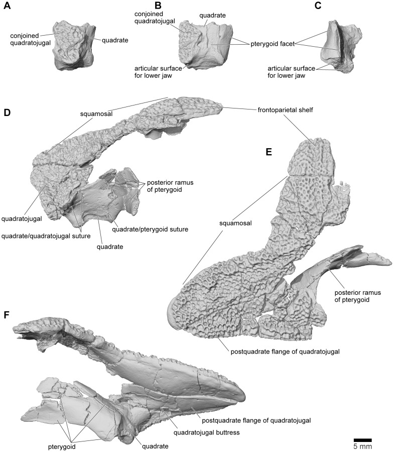 Figure 19