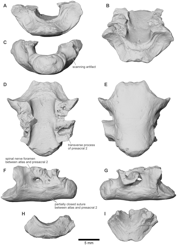 Figure 33