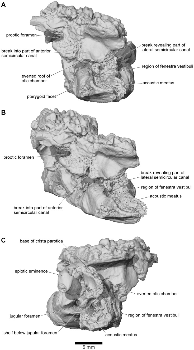 Figure 23