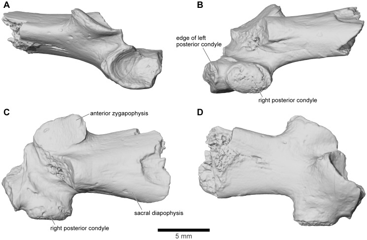 Figure 38