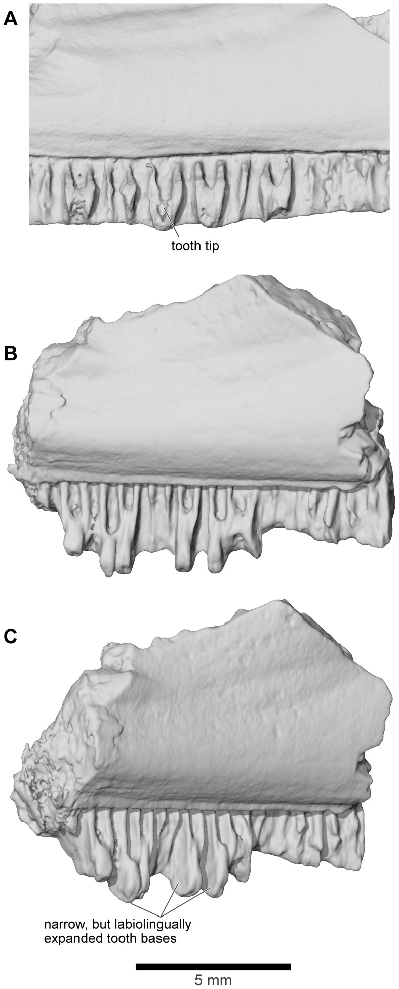 Figure 31