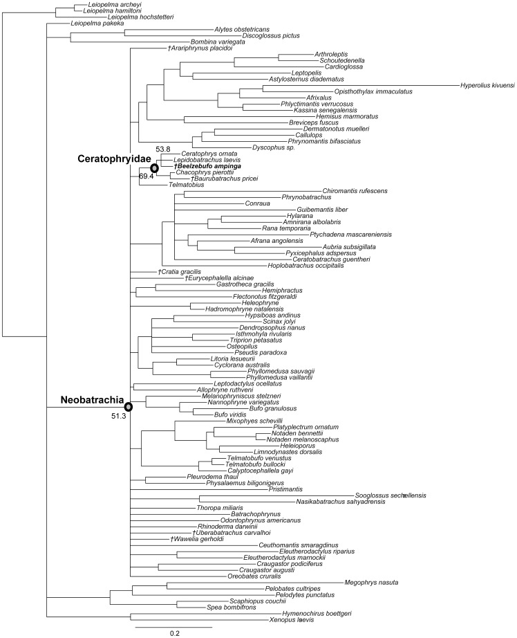 Figure 46