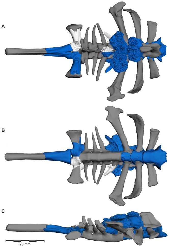 Figure 32