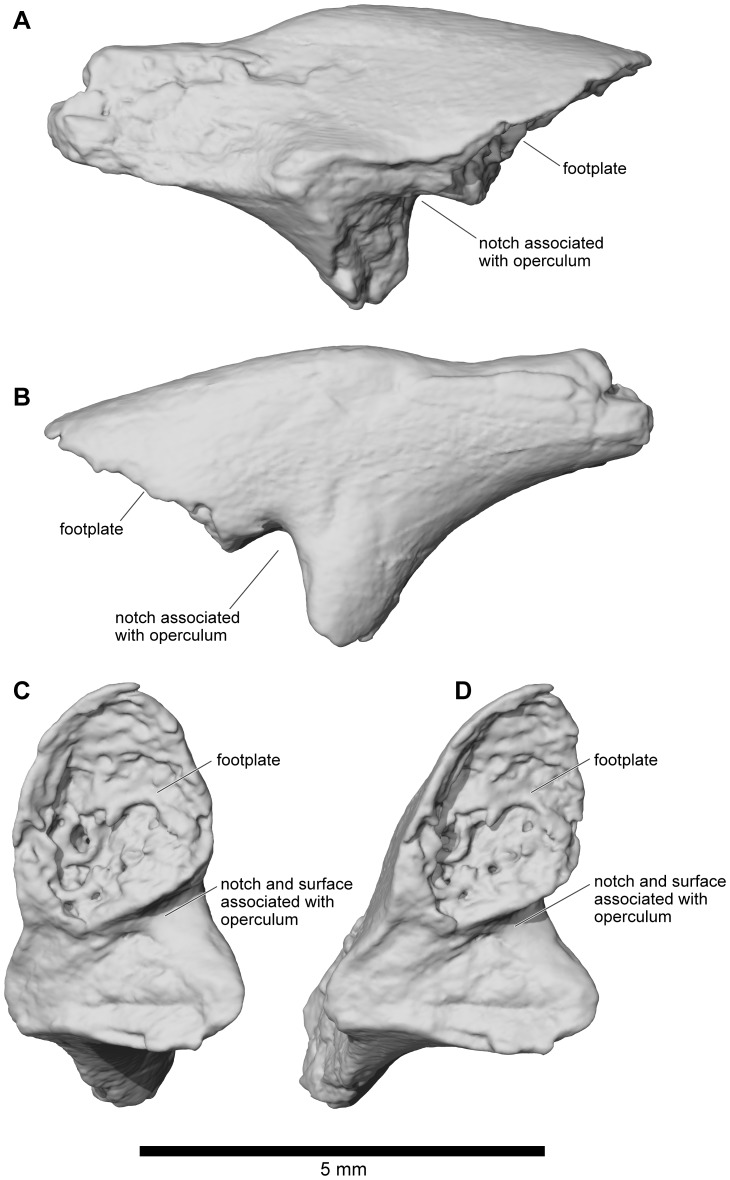 Figure 29