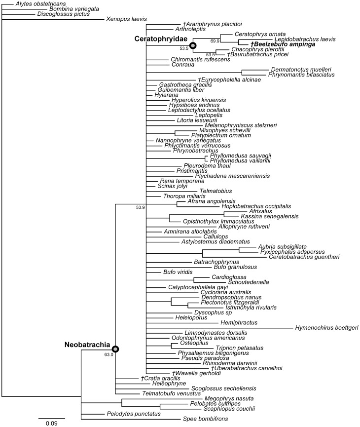 Figure 44