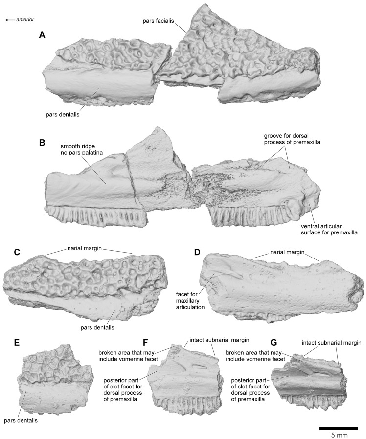 Figure 14