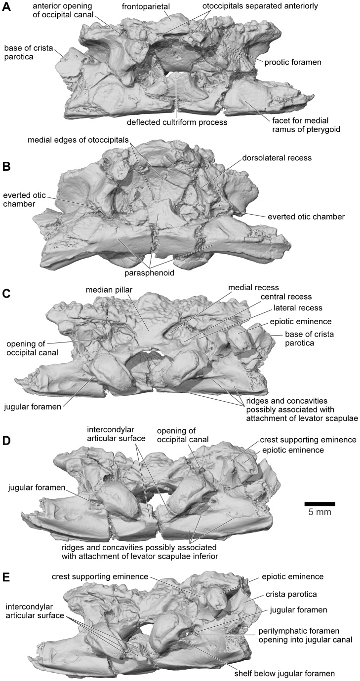 Figure 22