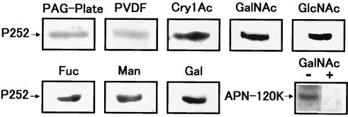 FIG. 7.