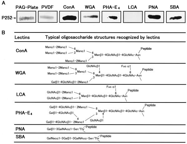 FIG. 9.