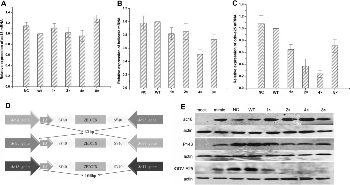 FIG 4