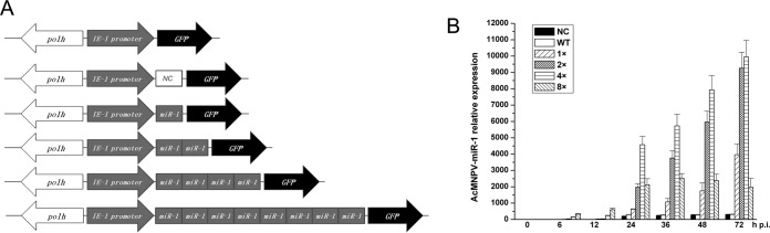 FIG 1