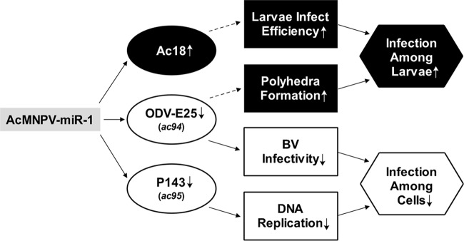 FIG 5