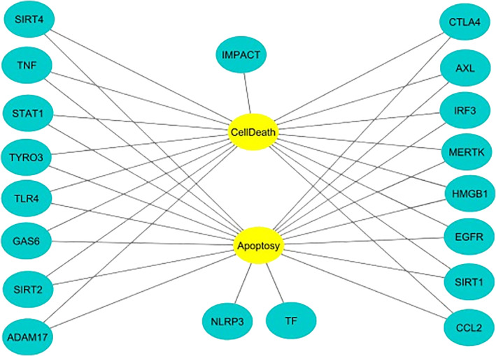 FIGURE 5