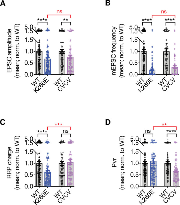 Figure 5—figure supplement 1.