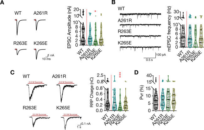 Figure 2—figure supplement 1.