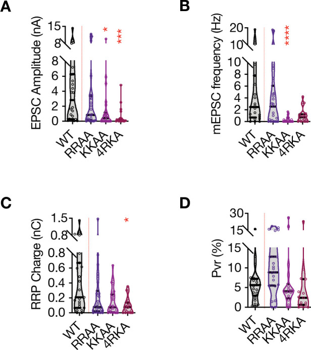 Figure 2—figure supplement 2.