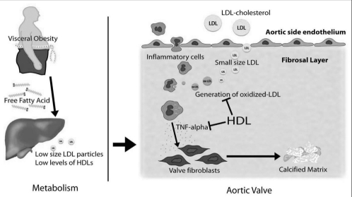 Figure 4)