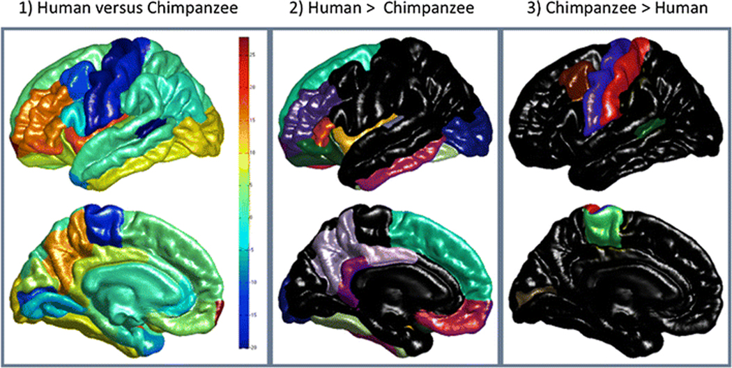 Figure 5: