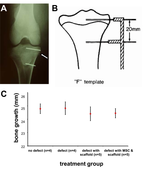 Fig. (2)