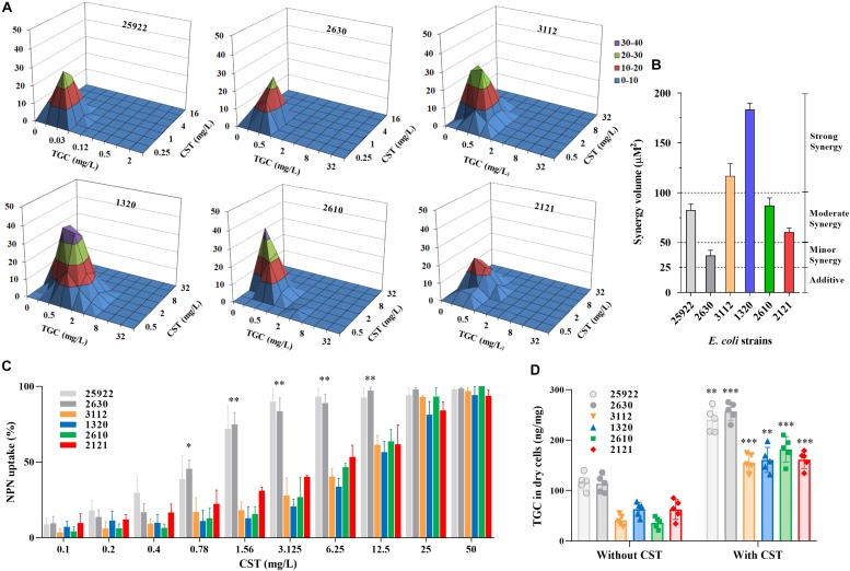 FIGURE 2