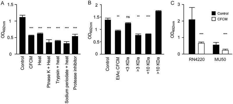 FIG 5