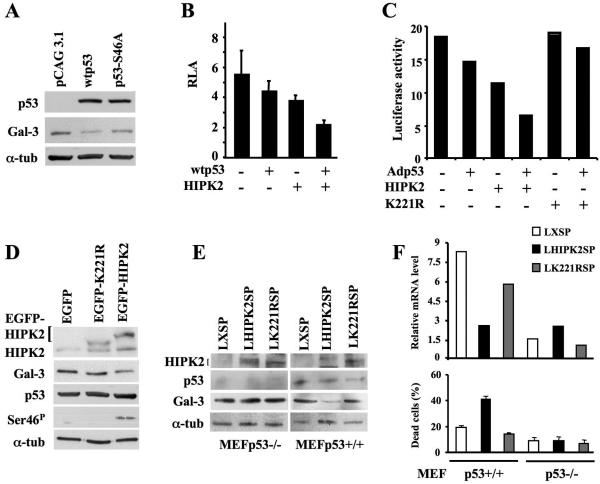 FIG. 3.