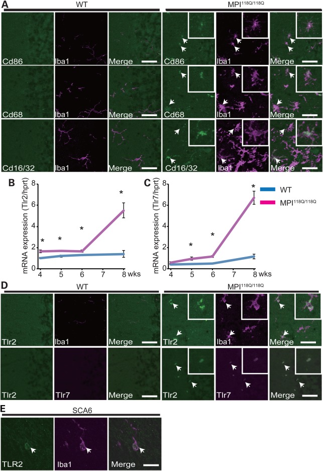 Figure 3.