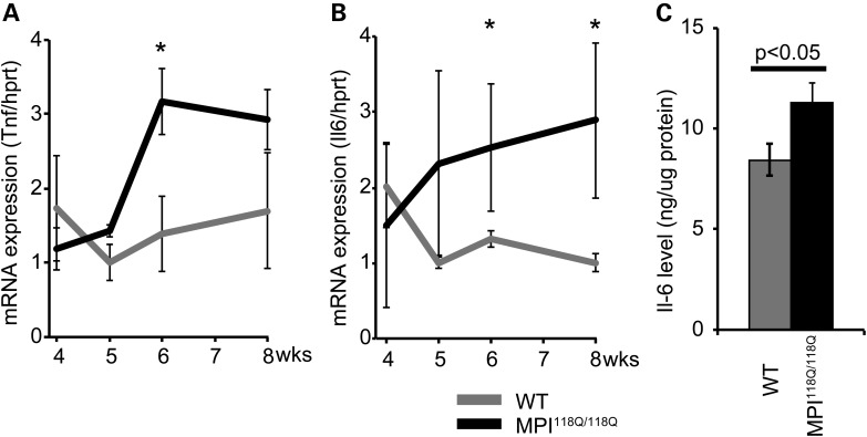 Figure 4.