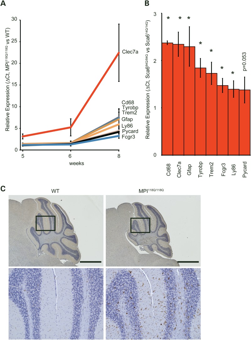 Figure 2.