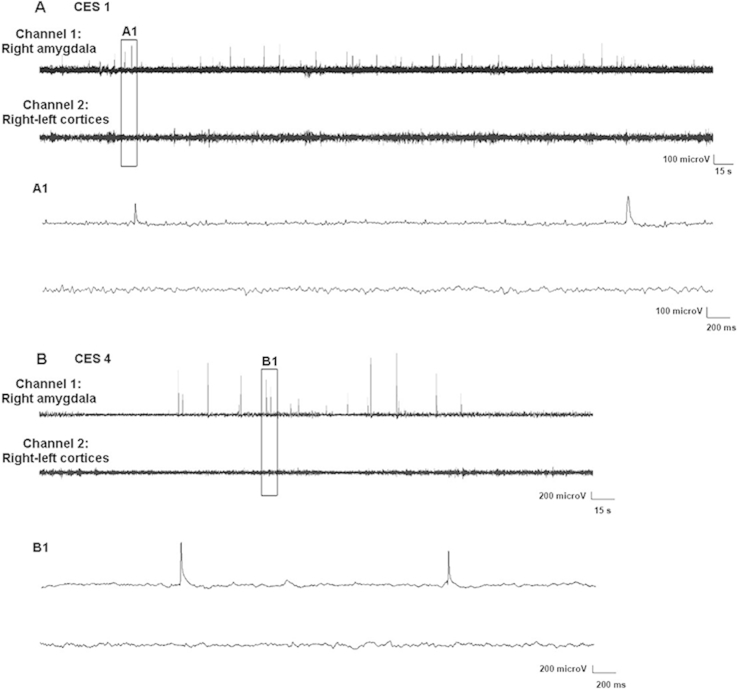 Fig. 1