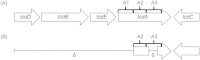 FIG 1