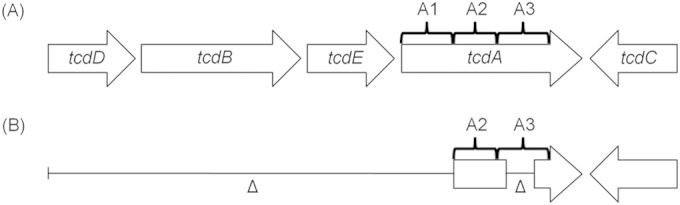 FIG 1