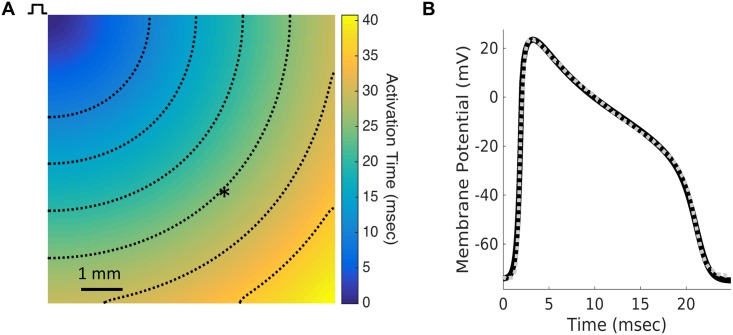 Fig 2