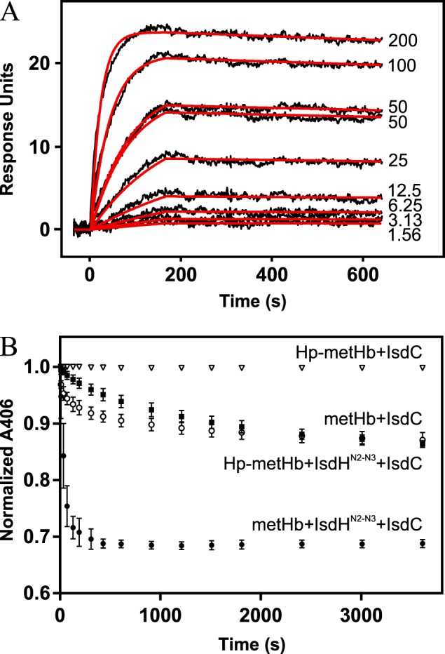 Figure 2.