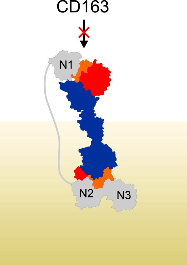 Figure 7.