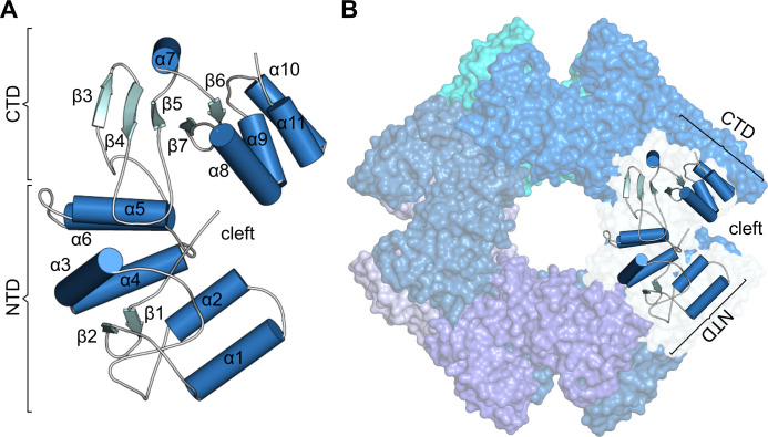 Fig 3