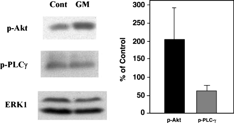 Fig. 6