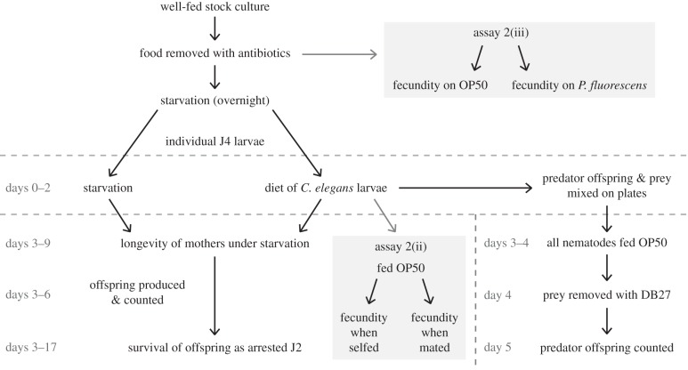 Figure 2.