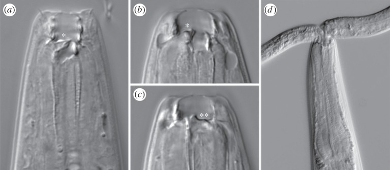 Figure 1.