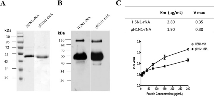 FIG 1