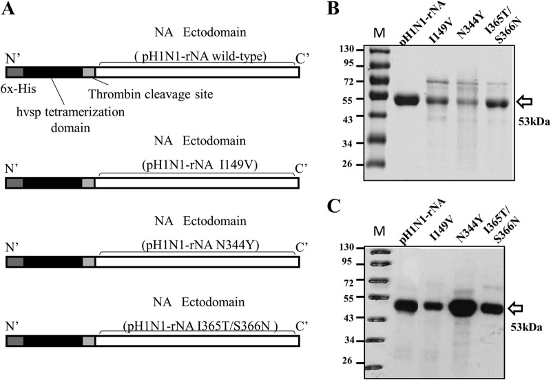 FIG 9