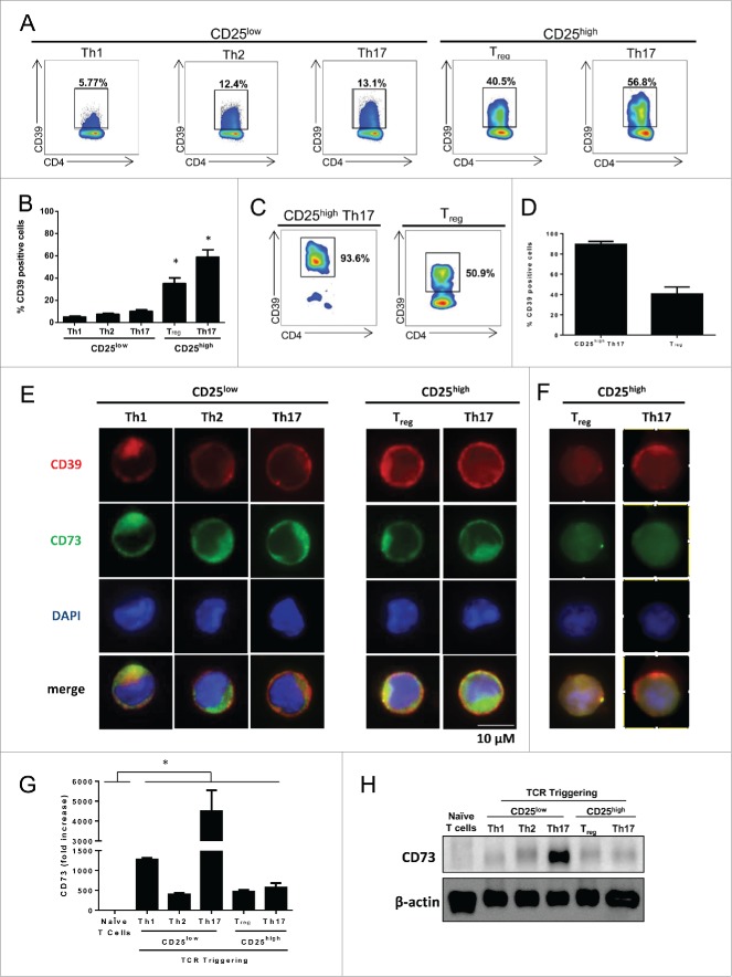 Figure 2 (See previous page).