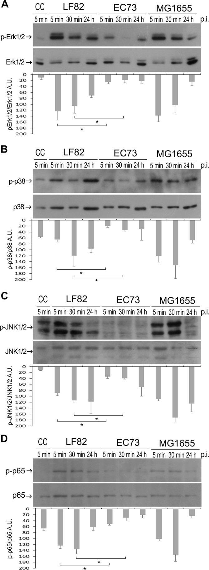 FIG 4