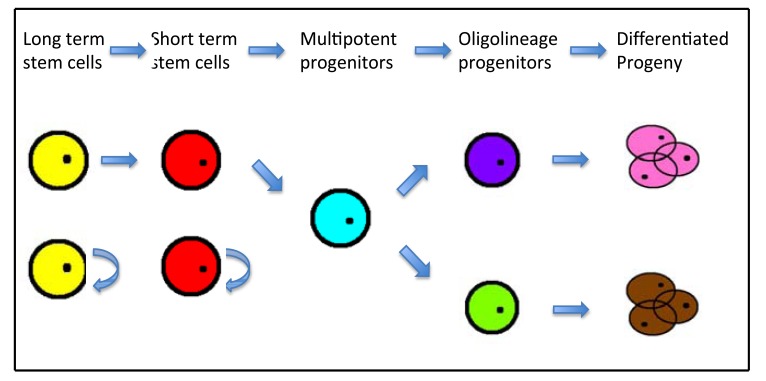 Fig. (1)