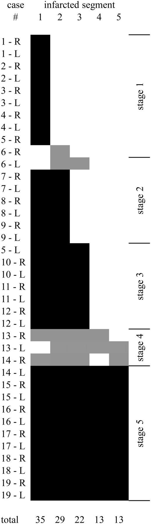 Fig 5.