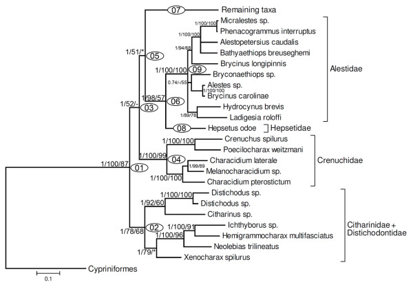 Figure 6